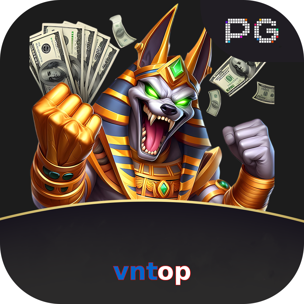 vntop